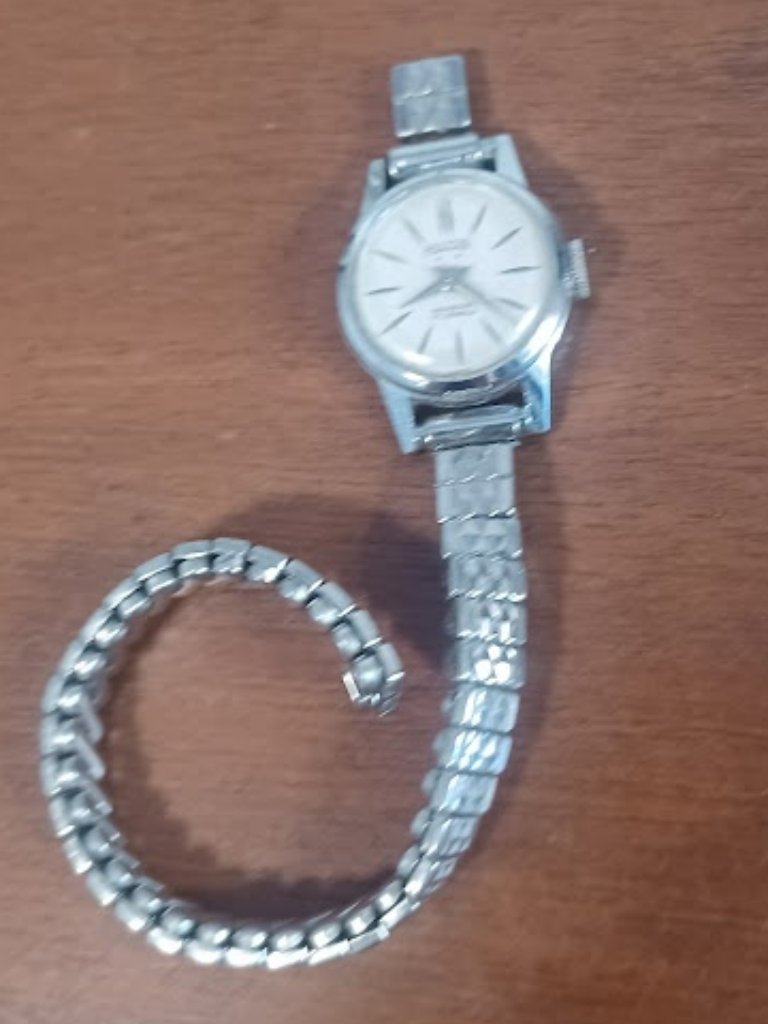 Vtg Hilton Ladies Wrist Watch Swiss Made 17 Jewels Incabloc  Works
